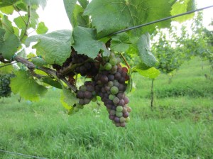 ???????????????????????????????