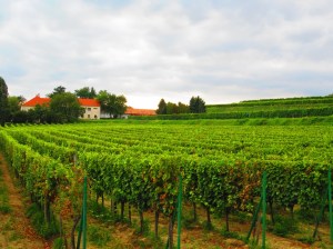 ???????????????????????????????