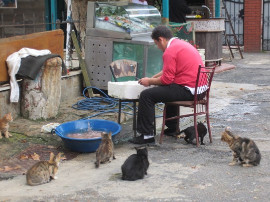 ???????????????????????????????